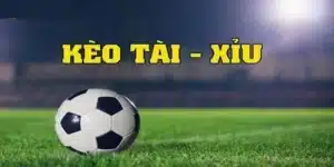 Kèo Tài Xỉu - Thông Tin Chi Tiết, Đầy Đủ Cho Dân Cá Cược