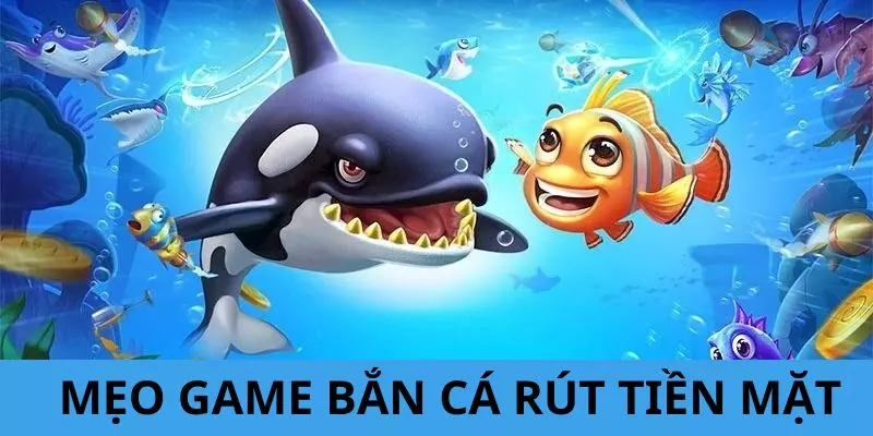 Game Bắn Cá Rút Tiền Mặt - Trò Chơi Đặc Sắc Tại 33WIN 4 Tổng hợp những chiến thuật săn mồi cực hữu ích đến người chơi