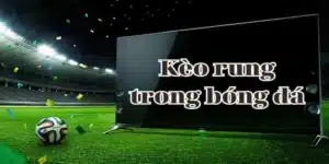 Kèo Rung Là Gì? Tìm Hiểu Cách Bắt Kèo Hiệu Quả Tại 33win
