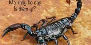 Mơ Thấy Bọ Cạp - Con Số Gì? Giúp Đổi Đời Trong Năm 2025